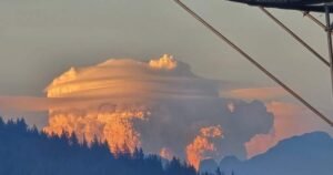 Read more about the article Pyrocumulus clouds from wildfire in Fraser Canyon loom high over B.C.