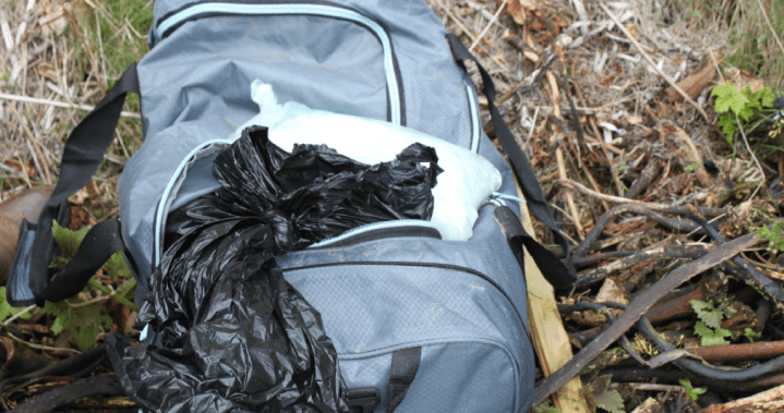 Read more about the article U.S. man gets 15 years for attempting to smuggle drugs into Canada
