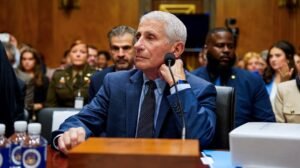 Read more about the article Fox News legal contributor: Senate will lose Fauci contempt fight