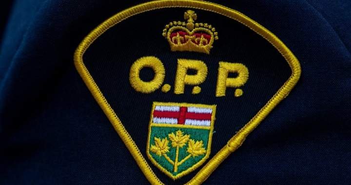 You are currently viewing OPP officer charged with assault after North York traffic stop