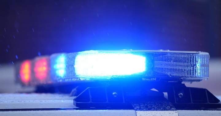 Read more about the article Missing cat leads to extortion charges for neighbour: Winnipeg police