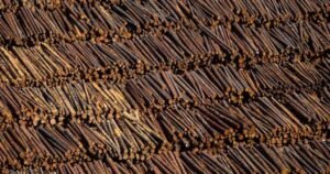 Read more about the article B.C. forestry company moving head offices to the U.S. amid struggles, tariffs