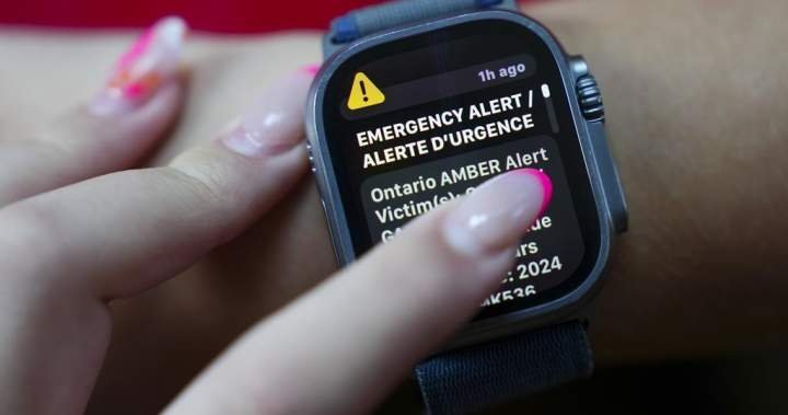 You are currently viewing New Brunswick advocates join call for emergency alerts for vulnerable missing people