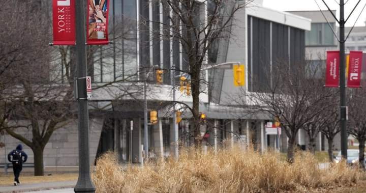 You are currently viewing Ontario funds new family medical school as it preps for 2028 opening