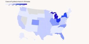 Read more about the article Cyclospora outbreak map: See the states affected by the diarrhea parasite — and which have the most cases