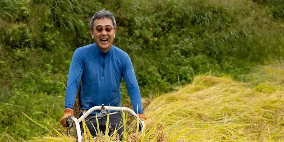 You are currently viewing I spent years in finance. Then I realized rural Japan’s rice terraces were an overlooked asset.