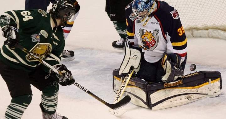 Read more about the article OHL approves Barrie Colts sale to Toronto-area businessman John Careri