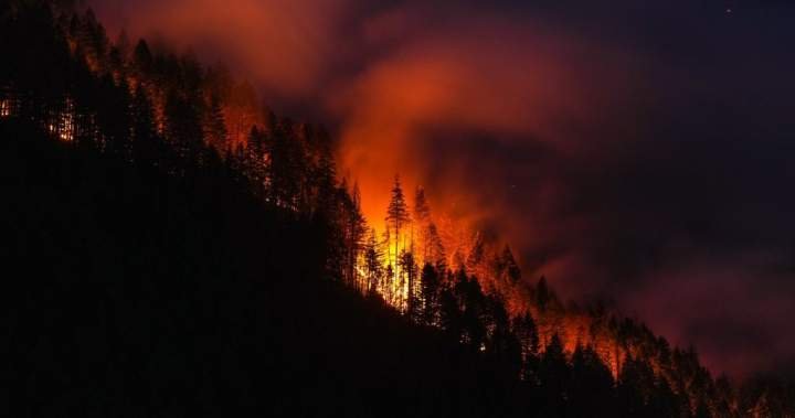 You are currently viewing B.C. firefighters face critical days as dry fuels and winds increase fire risks