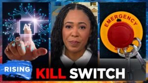 Read more about the article House considering bipartisan ‘kill switch’ bill to regulate AI