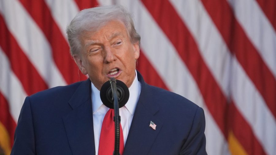 You are currently viewing Trump says teen lifeguard in viral rescue will get ‘highest civilian honor’