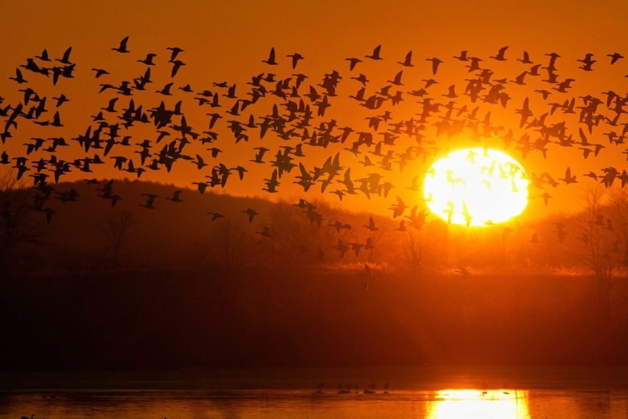 You are currently viewing How often the sun would rise after 8 a.m. under permanent daylight saving time