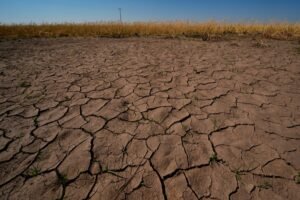 Read more about the article ‘Mini Dust Bowl’ could be forming in the US, expert warns. Will El Niño make it worse?