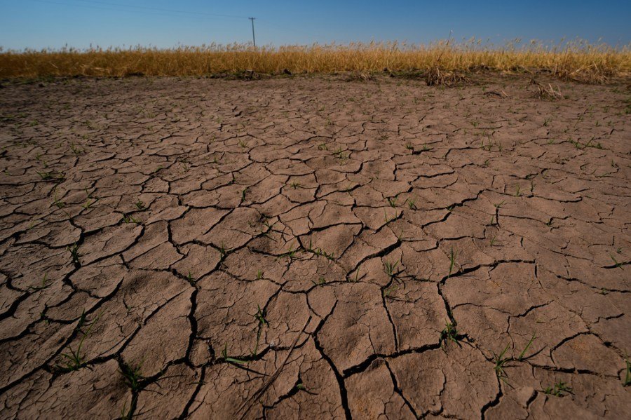 You are currently viewing ‘Mini Dust Bowl’ could be forming in the US, expert warns. Will El Niño make it worse?