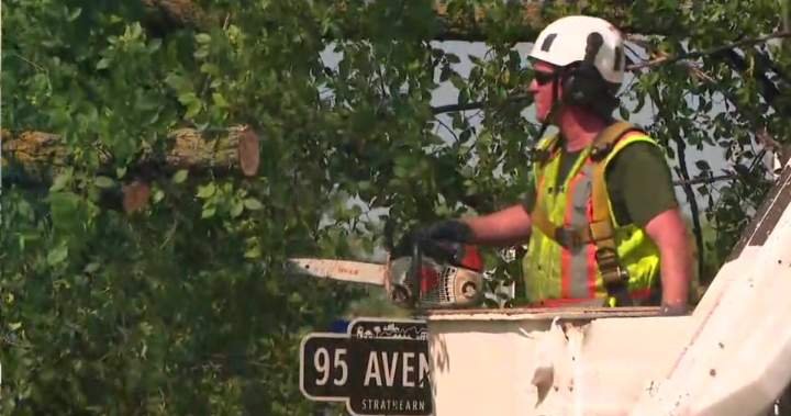 You are currently viewing Thunderstorm cleanup expected to cost City of Edmonton $20-$30 million