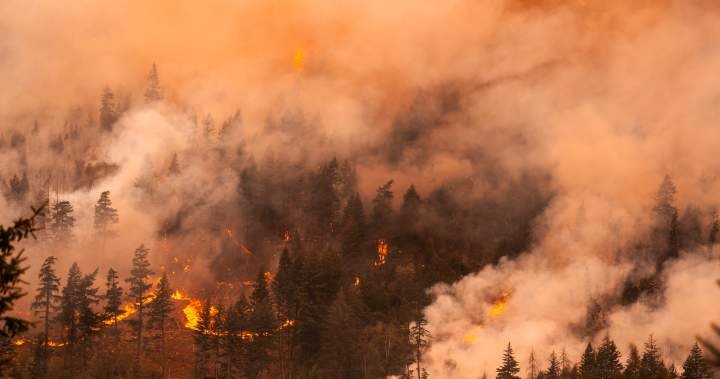 You are currently viewing Photos show wildfires raging across parts of British Columbia