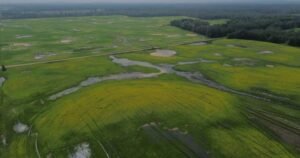 Read more about the article Thorhild, Westlock counties declare state of agricultural disasters due to rain