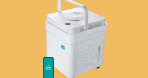 Read more about the article Your guide to mold & mildew prevention & protection
