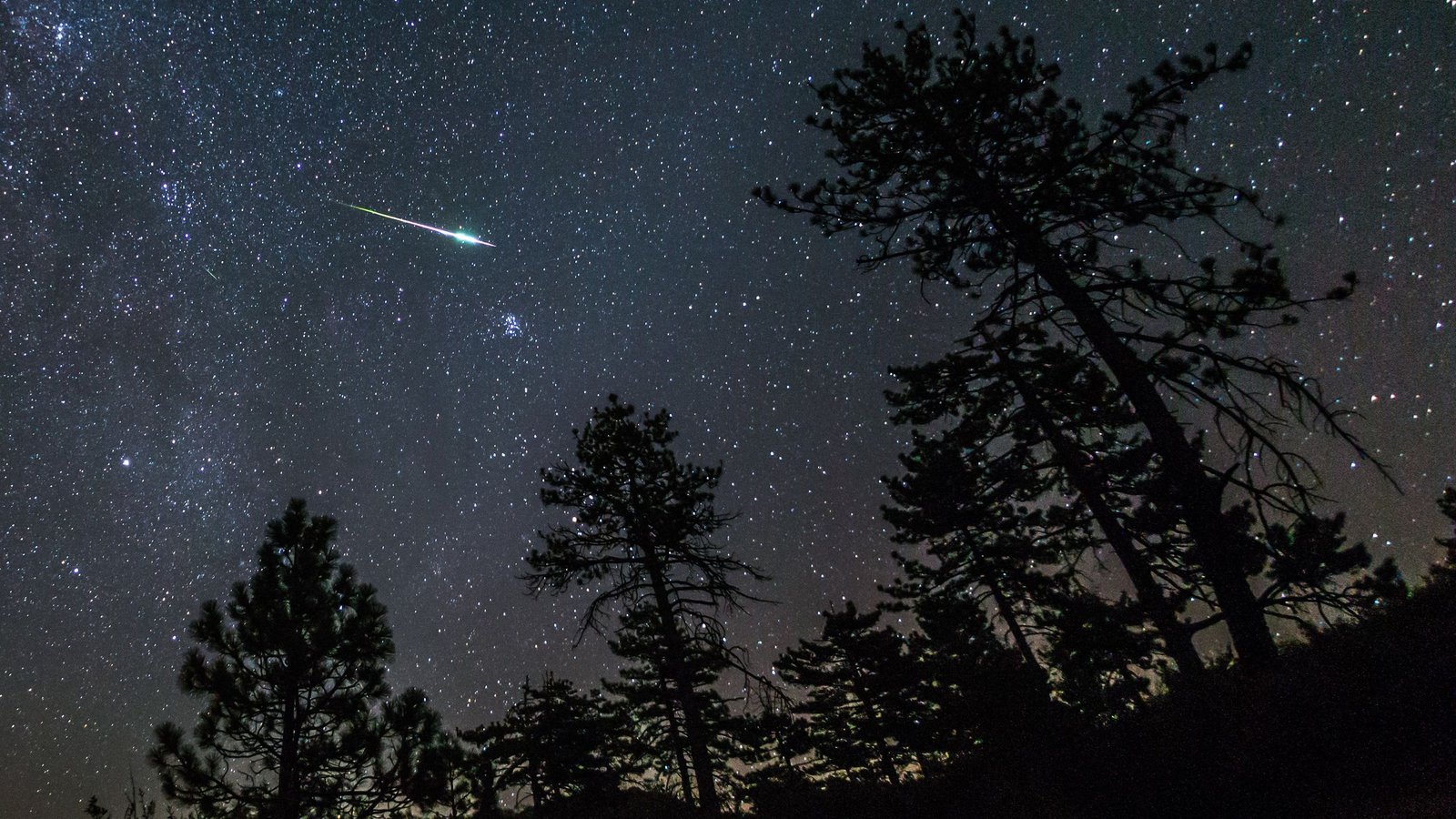 Read more about the article Billions of miles and thousands of years in the making: This is the life of a Perseid shooting star