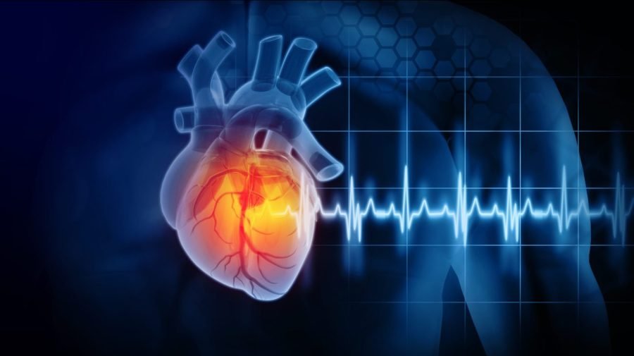 Read more about the article Study finds alarming level of microplastics in heart attack patients’ blood