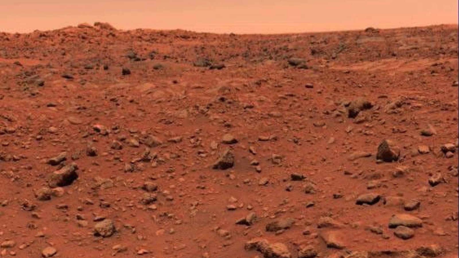 Read more about the article Did Viking 1 find life on Mars 50 years ago? Here’s why the debate continues