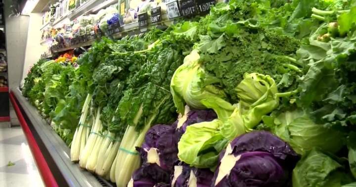 Read more about the article Prioritize buying local produce as cyclosporiasis cases rise: Quebec Health Ministry