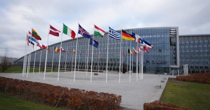 Read more about the article Canadian intern at NATO military HQ arrested in Belgium on spying charge