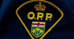 Read more about the article ‘Infuriating’: Cat dies after being thrown from moving vehicle, OPP say