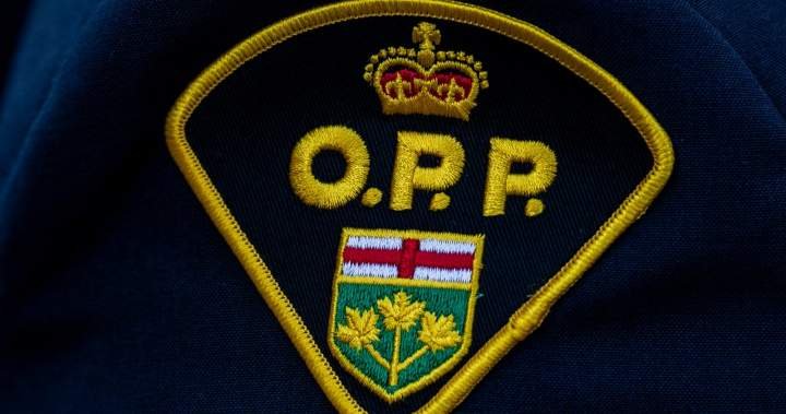 You are currently viewing ‘Infuriating’: Cat dies after being thrown from moving vehicle, OPP say