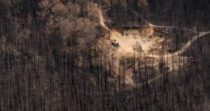 Read more about the article Ontario wildfire situation moving in ‘reassuring direction’ despite heat