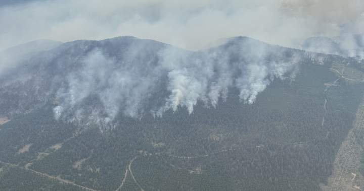 Read more about the article ‘I’m not leaving’: Some B.C. residents vow to defend homes from wildfires