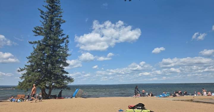 You are currently viewing Visitors say elk encounters, tensions on the rise at Waskesiu