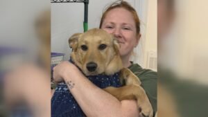 Read more about the article Animal advocacy groups to honour rescue volunteer who died with Winnipeg rally