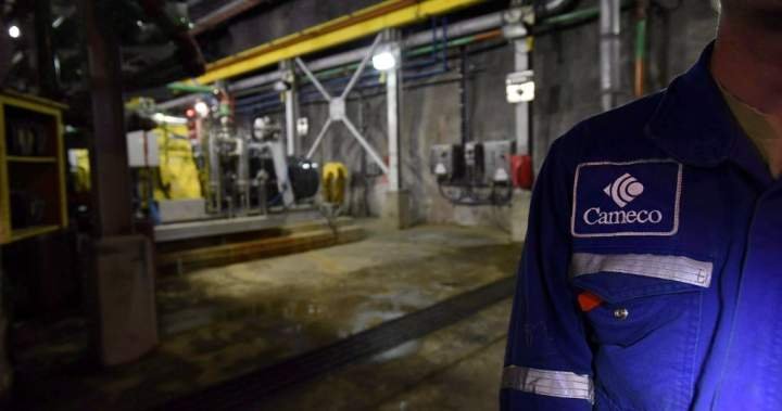 You are currently viewing Cameco and Brookfield-owned Westinghouse files for U.S. IPO