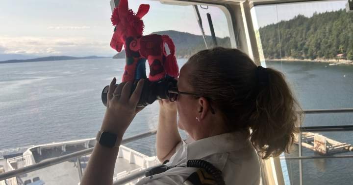 Read more about the article Churro the Burro’s adventure on BC Ferries delights thousands