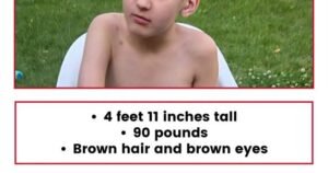 Read more about the article Calgary police resume ground search for missing 11-year-old boy
