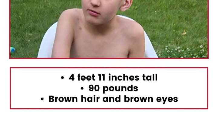 You are currently viewing Calgary police resume ground search for missing 11-year-old boy