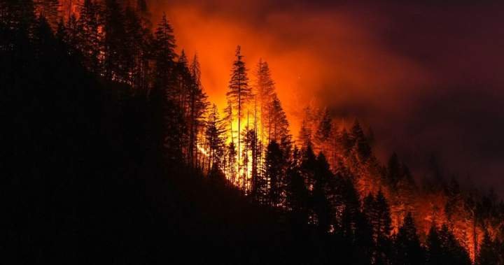You are currently viewing After experiencing 2016 wildfire, Fort McMurray survivor addresses evacuation trauma
