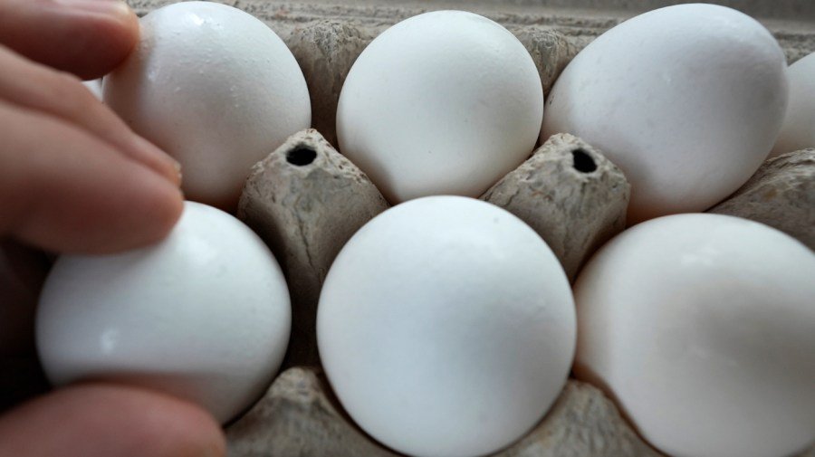 You are currently viewing Dozens sickened across 17 states in salmonella outbreak linked to recalled eggs: What to know