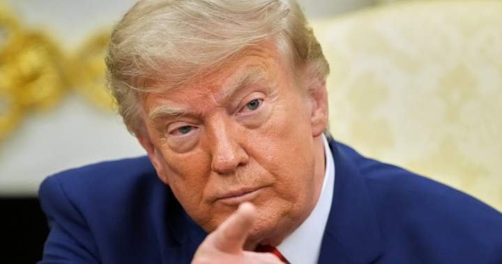 Read more about the article From wigs to wine, Canadian goods targeted in Trump’s latest tariff threats