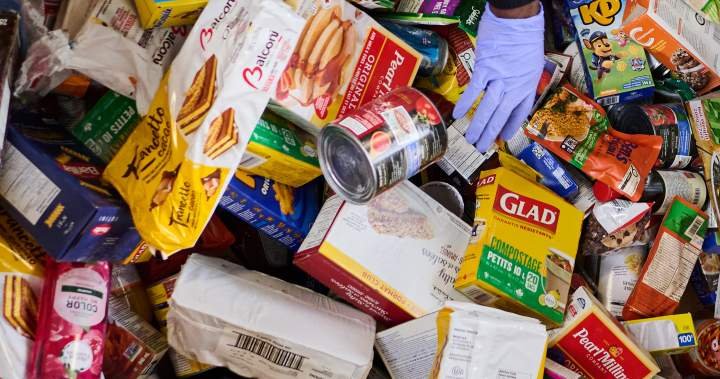 You are currently viewing 1 in 4 households in southwestern Ontario facing food insecurity: health units