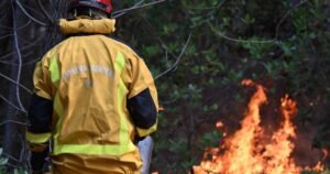 Read more about the article France lets 84K evacuees go home as wildfires spread across Europe