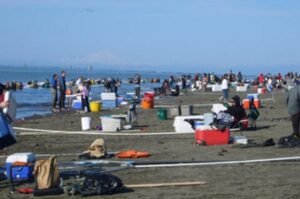 Read more about the article Kenai River Personal Use Dip Net Fishery Open 24 Hours Per Day