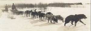 Read more about the article This Day in Alaska History-July 30th, 1921