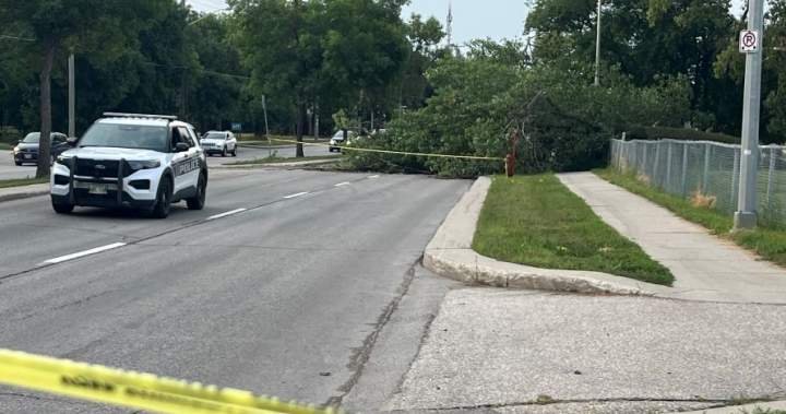 You are currently viewing 28K Manitoba Hydro customers without power after storm causes ‘extensive damage’