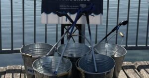 Read more about the article GTA environmental group nears milestone of 10 million litter pieces picked