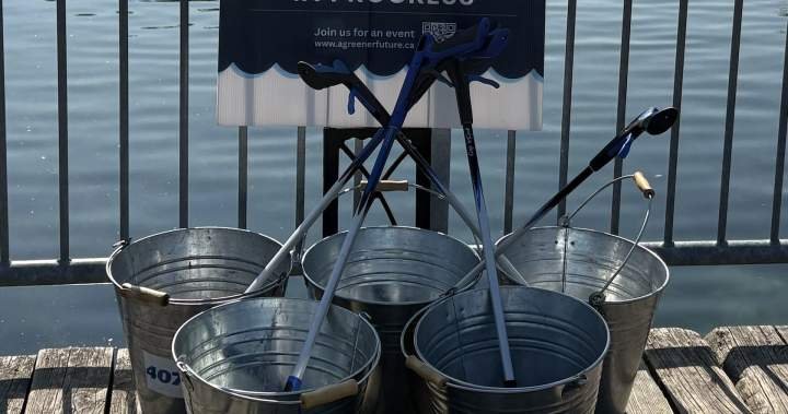 Read more about the article GTA environmental group nears milestone of 10 million litter pieces picked