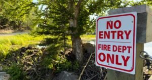 Read more about the article Beavers and a Tim’s card: a very Canadian solution to a firefighting challenge