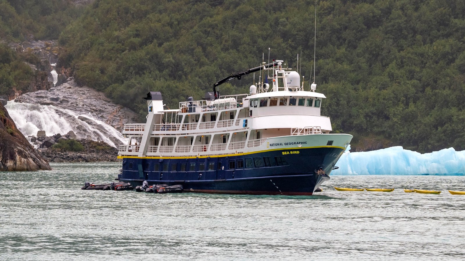 Read more about the article U.S. Travelers Warned Over Fourth Illness Outbreak On The Same Cruise Ship During 8-Week Span
