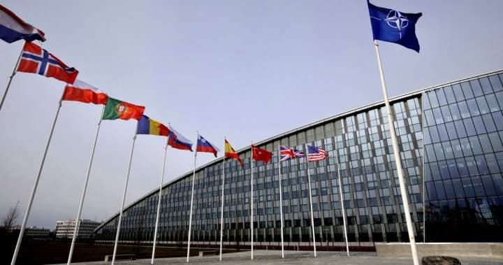 You are currently viewing Minister vows probe of ‘quite serious’ charges against Canadian NATO intern