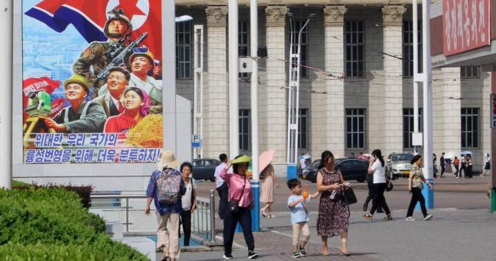 You are currently viewing Canada, allies warn North Korea IT workers pose ‘insider threat’ abroad